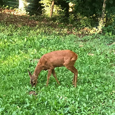 Hébergement de vacances Le Lescot